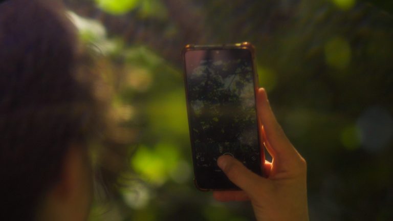 Timeline 1_01_01_39_18