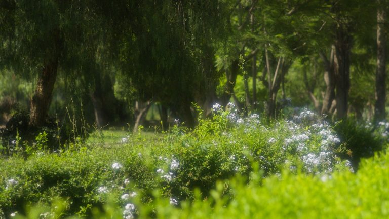 Timeline 1_01_18_05_05