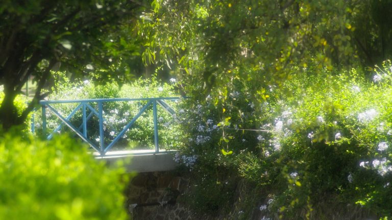 Timeline 1_01_19_14_12