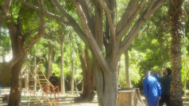 Timeline 1_01_26_21_00