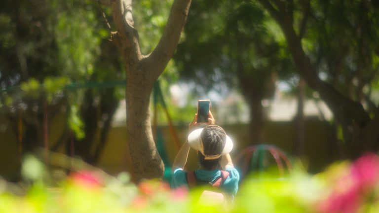 Timeline 1_01_29_17_01