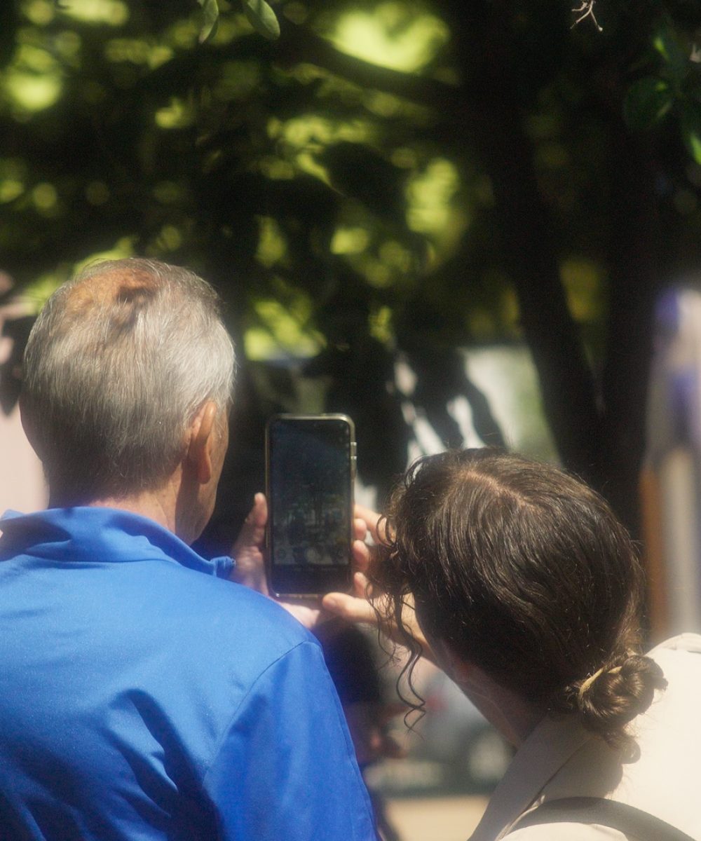 Timeline 1_01_15_42_19